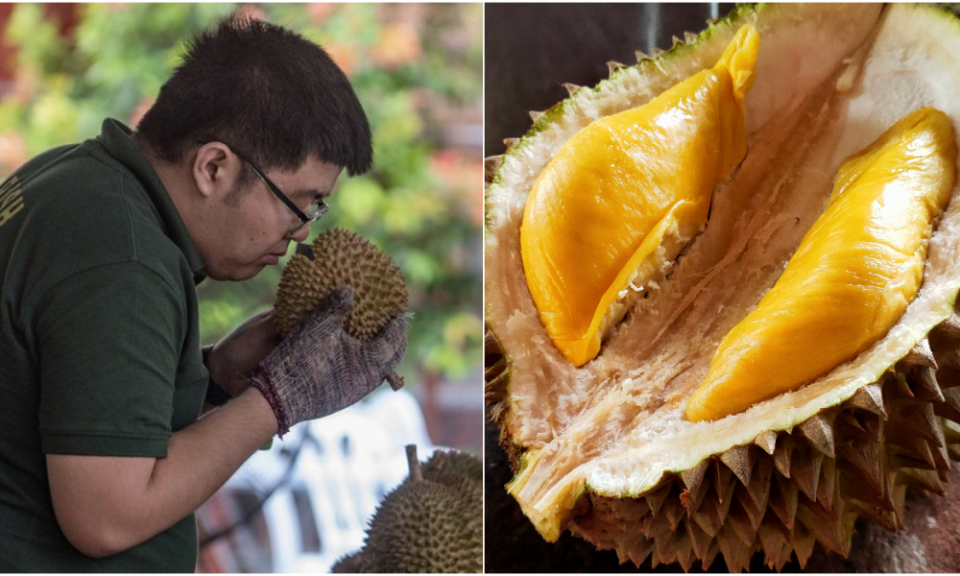 Ultimate Durian Experience